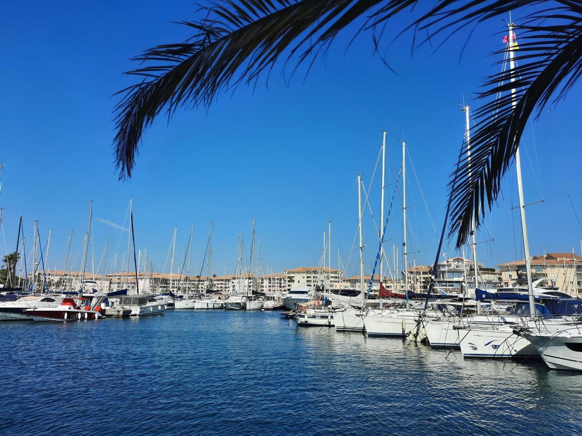 Appartamento Coeur Marina Climatise Terrasse Parking Fréjus Esterno foto